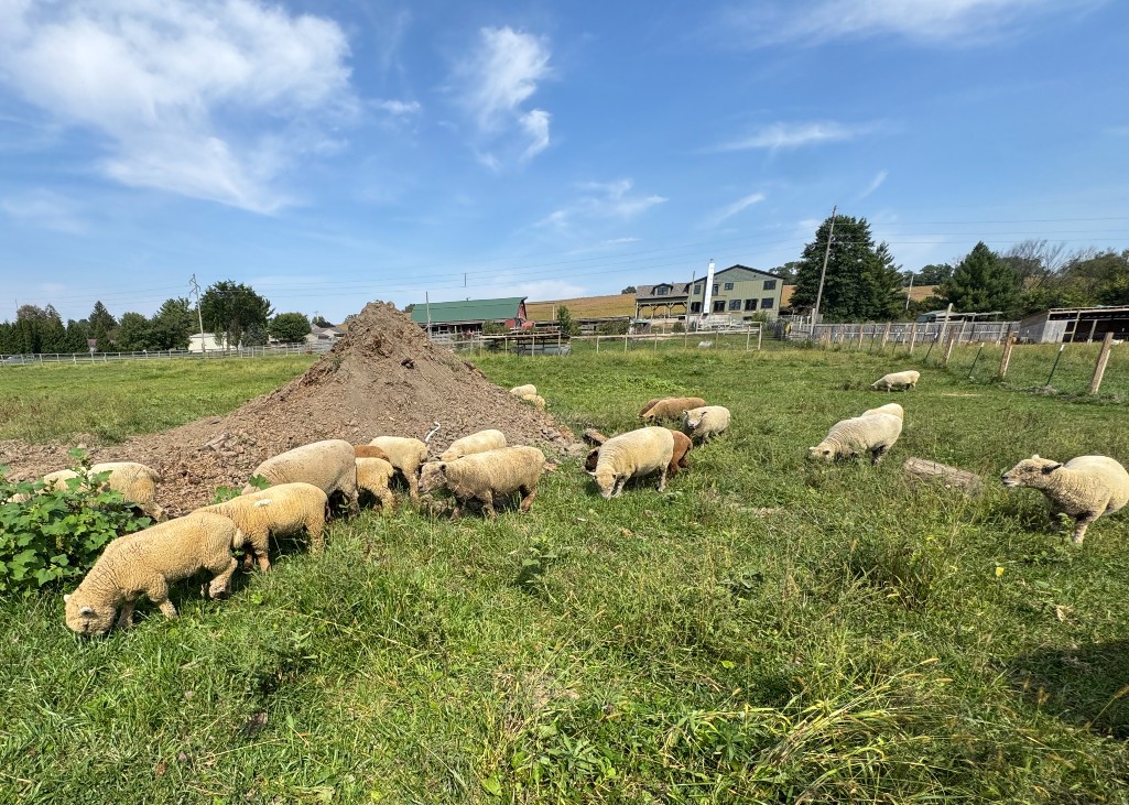 9i2kj_utXmhUJOk7m21ih-d6zPqn_41jtQ