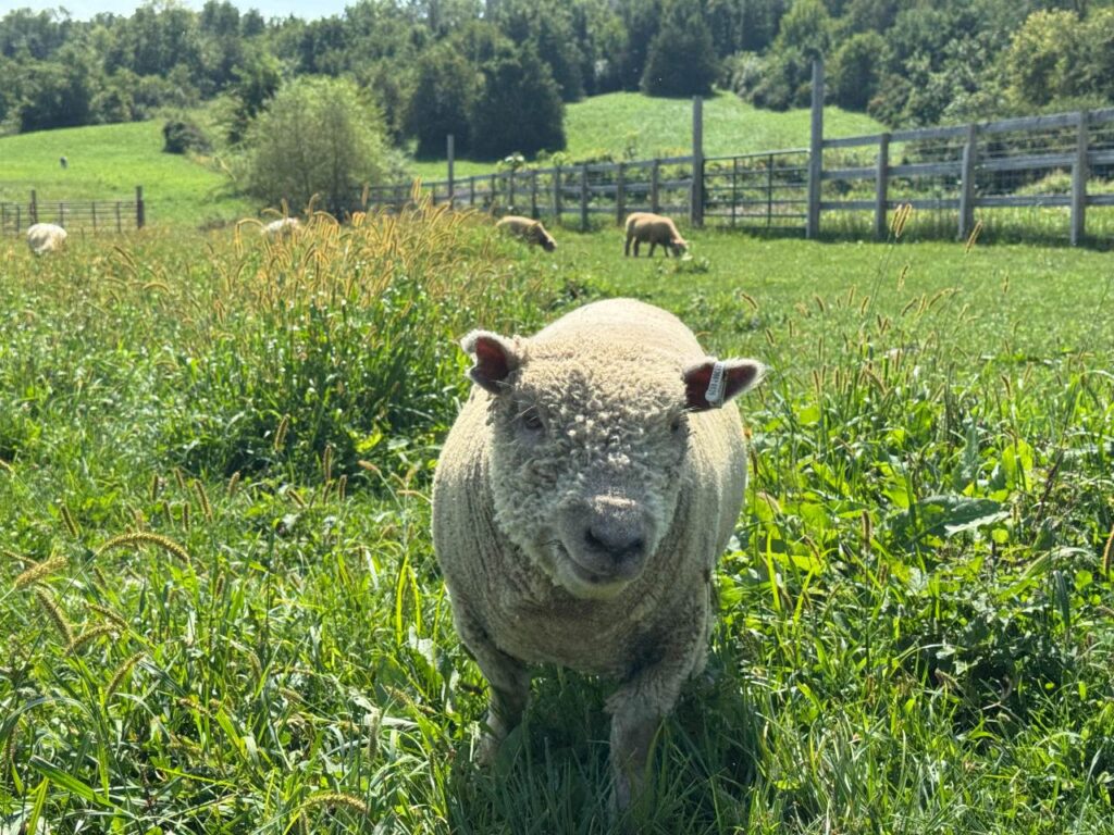 PF4EtmerQo88FRZk9UbknPnCaT_2bG0fDQ