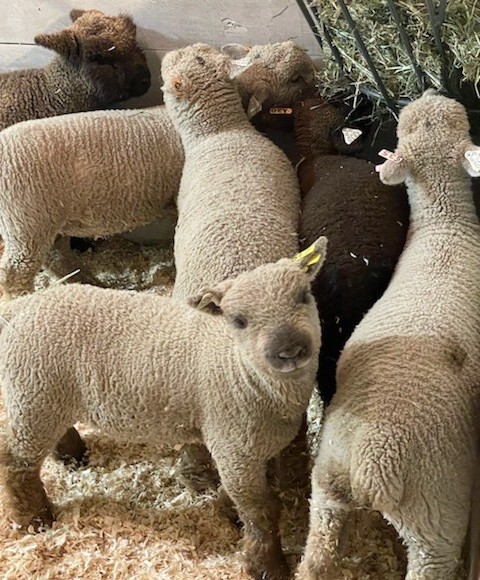 hHLXTA9NZolbCXmMTUiGHMun6SXCsCBKNw