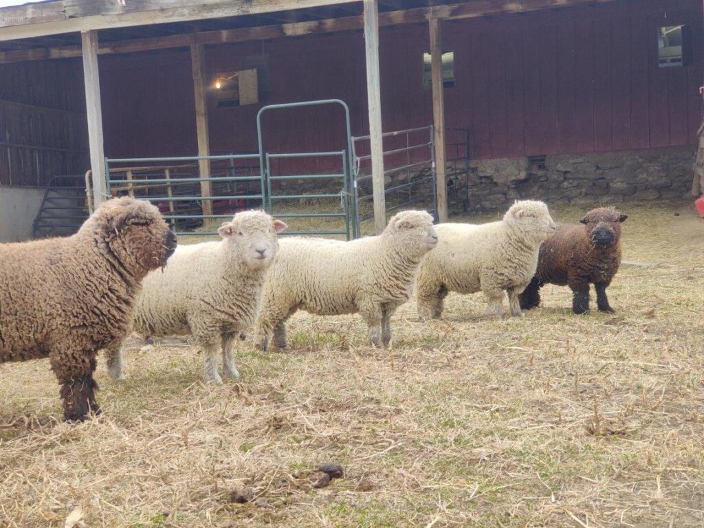 myFaLprqRZDxUfe8rD7P1FBo7qE89OVnsQ