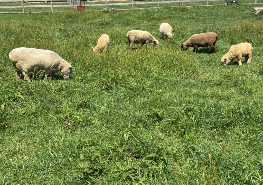 vLMKR18oyH2S5XFtpR0Gbndvo5wbmzuVmg