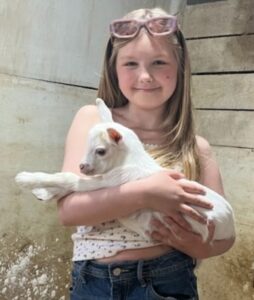 Baby Goat Snuggles